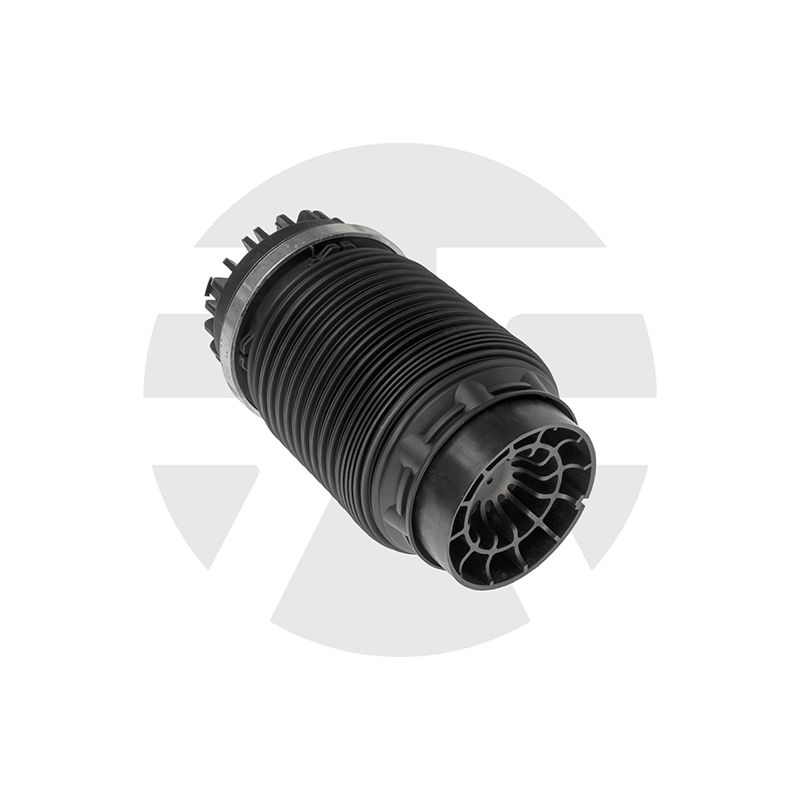 Dodge Ram 1500 Rear air spring