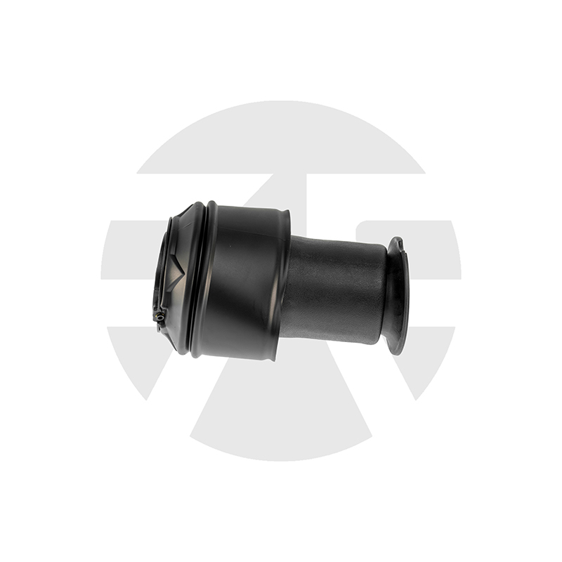 Citroen C4 Picasso/Grand Picasso Rear Air Spring
