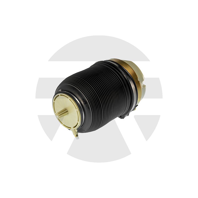 Audi A6 C6 (4F) Rear Air Spring