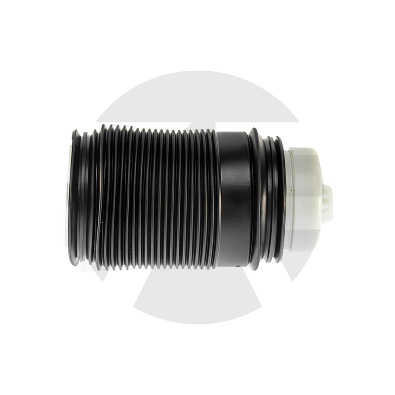 Rear Left Air Spring for Mercedes-benz E-Class W212 2009-2016 A2123204325
