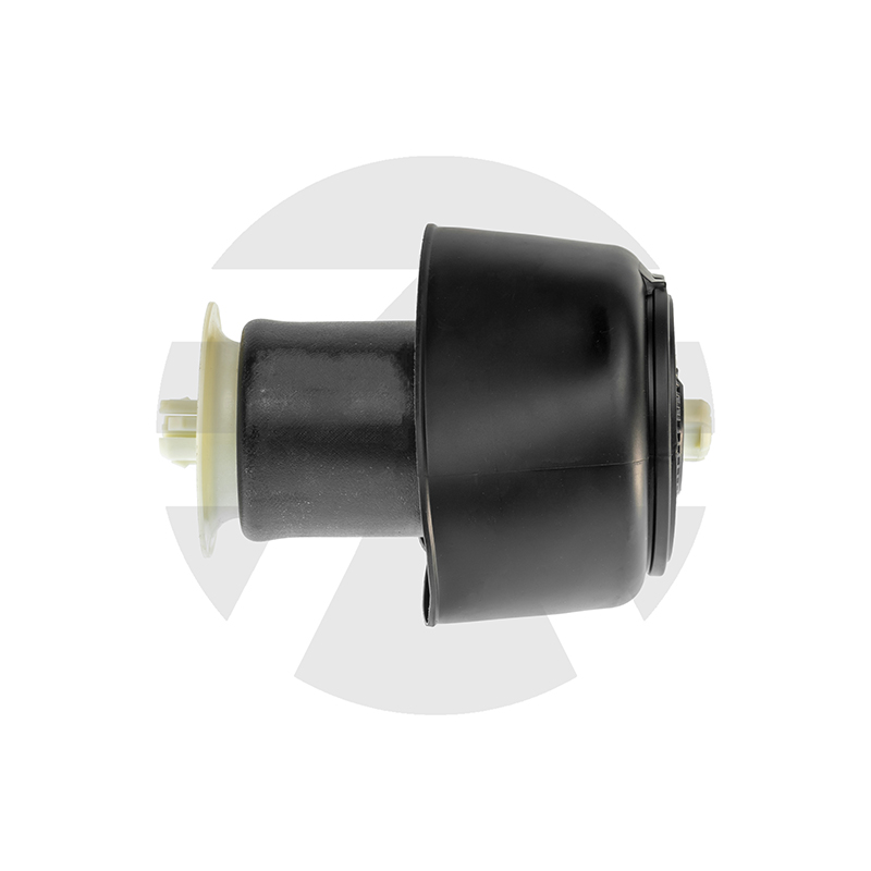 BMW 5 Series F07 Rear Air Spring