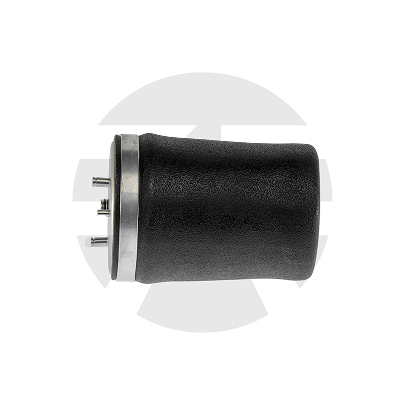 Rear Right Air Spring for BMW X5 E53 2000-2006 37121095580