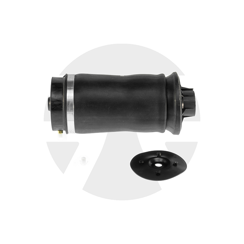 Mercedes-Benz ML-Class W164 Rear Air Spring