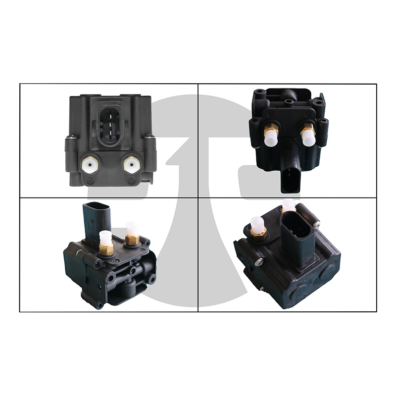 Valve Block for BMW X5 E70 2007-2014 37206789938