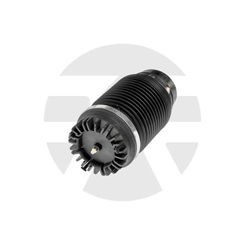 Dodge Ram 1500 Rear air spring