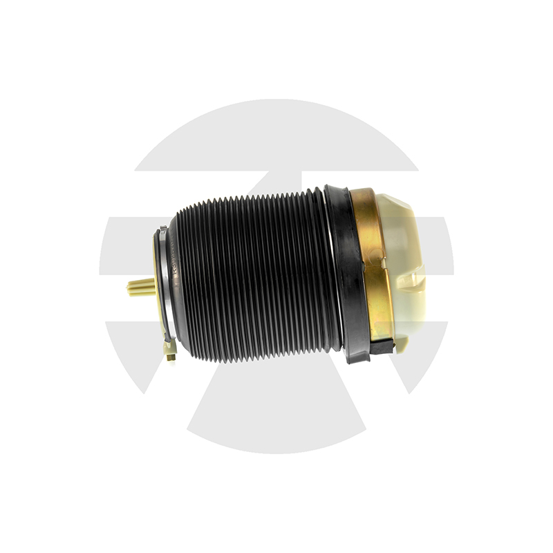 Audi A6 C6 (4F) Rear Air Spring