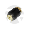 Audi A6 C6 (4F) Rear Air Spring