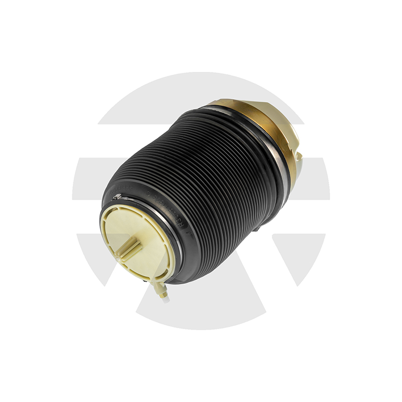 Audi A6 C6 (4F) Rear Air Spring