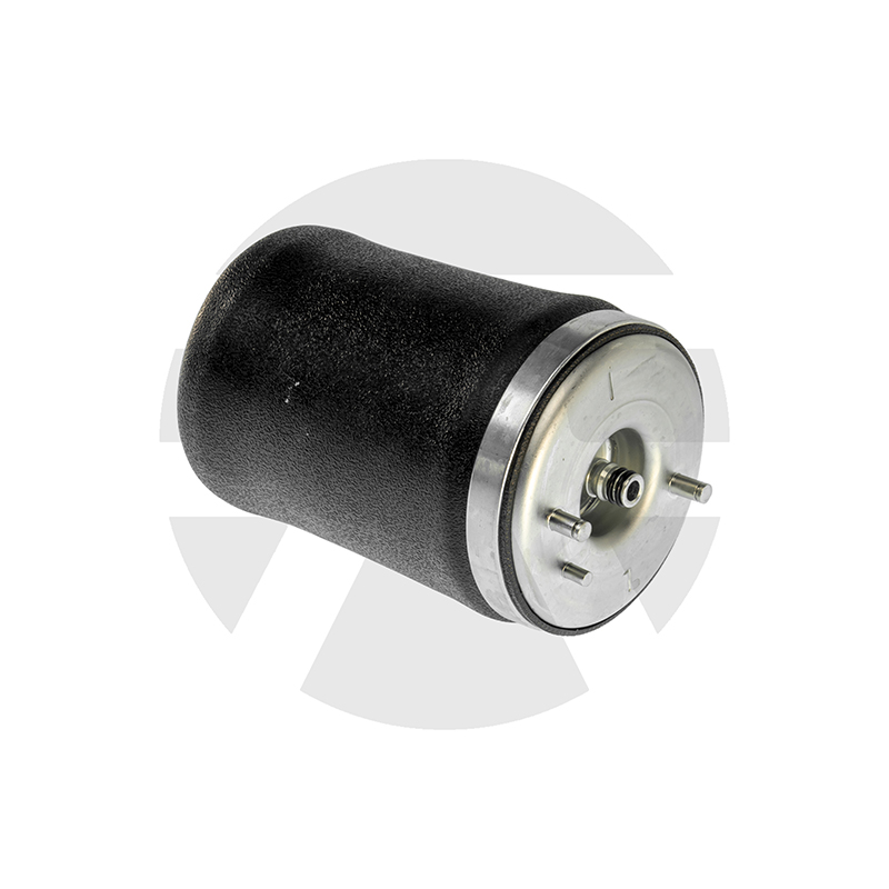 Rear Left Air Spring for BMW X5 E53 2000-2006 37121095579