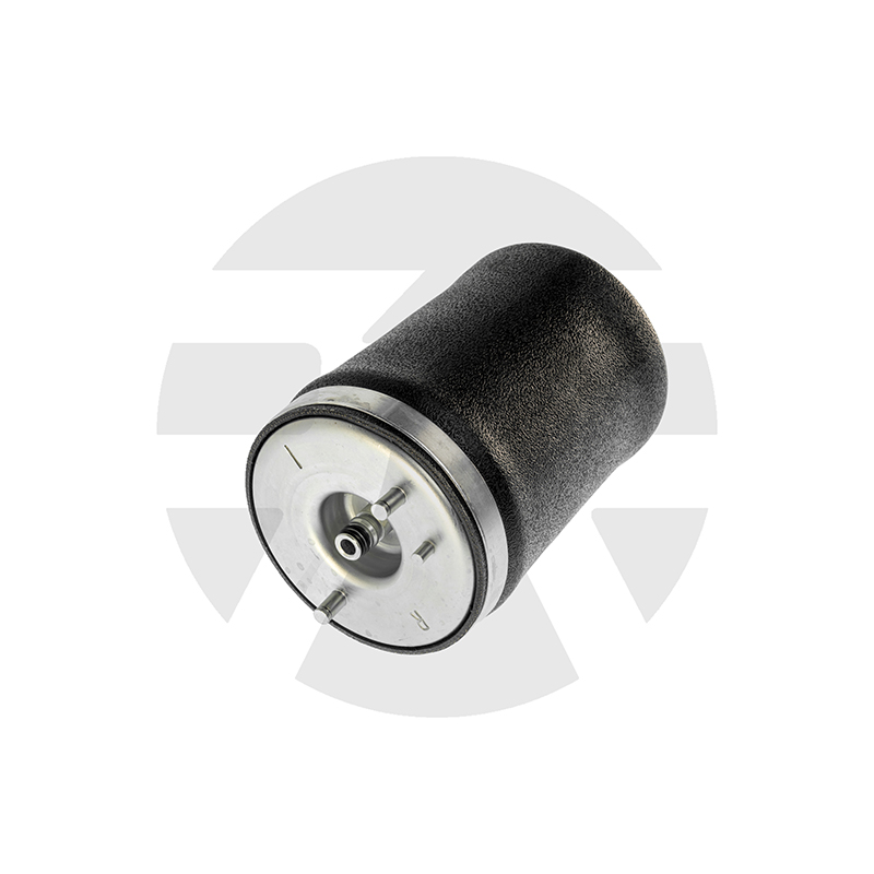 Rear Right Air Spring for BMW X5 E53 2000-2006 37121095580