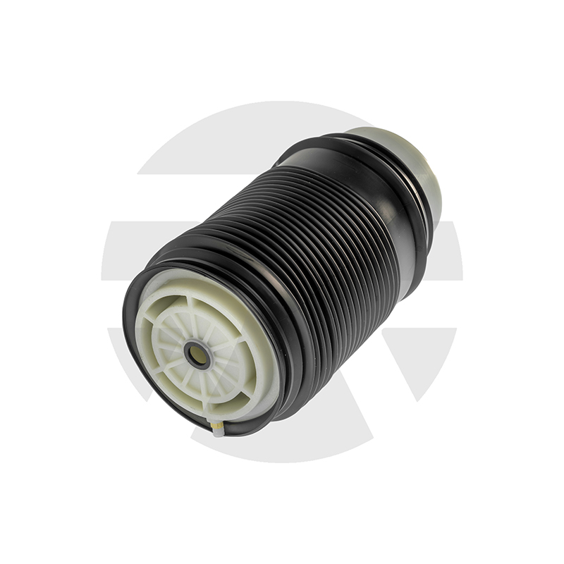 Rear Left Air Spring for Mercedes-benz E-Class W212 2009-2016 A2123204325