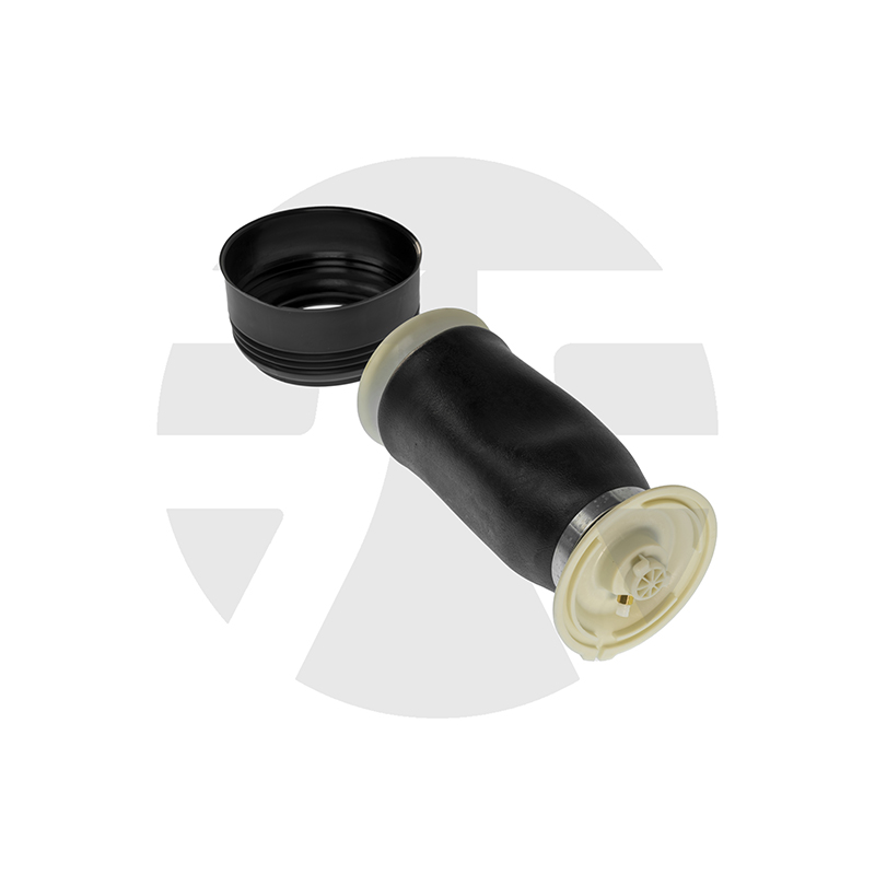 BMW X5 E70 Rear Air Spring