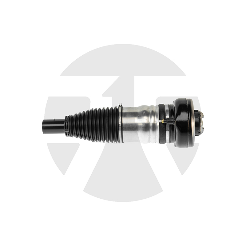 Front Left/Right Air Suspension Strut for Audi A8 D5 with ADS 2018-2021 4N4616039G