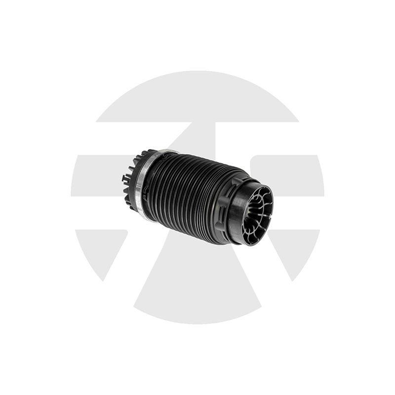 Dodge Ram 1500 Rear air spring