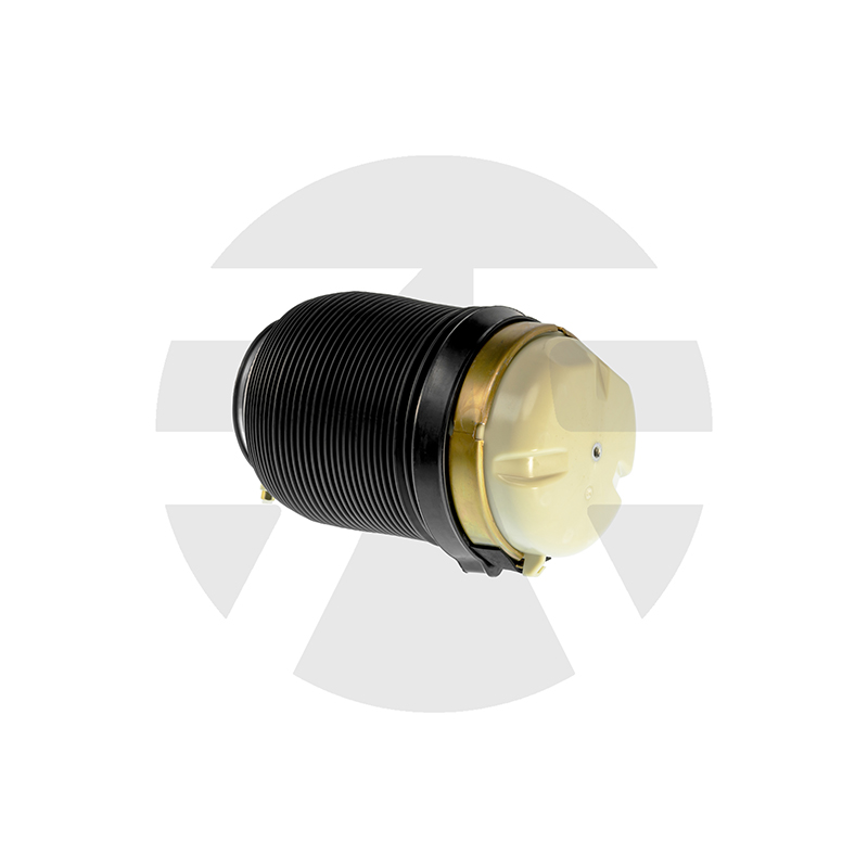 Audi A6 C6 (4F) Rear Air Spring
