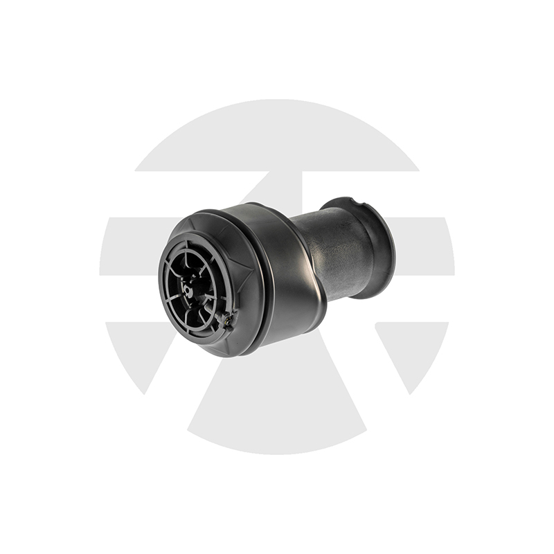 Citroen C4 Picasso/Grand Picasso Rear Air Spring