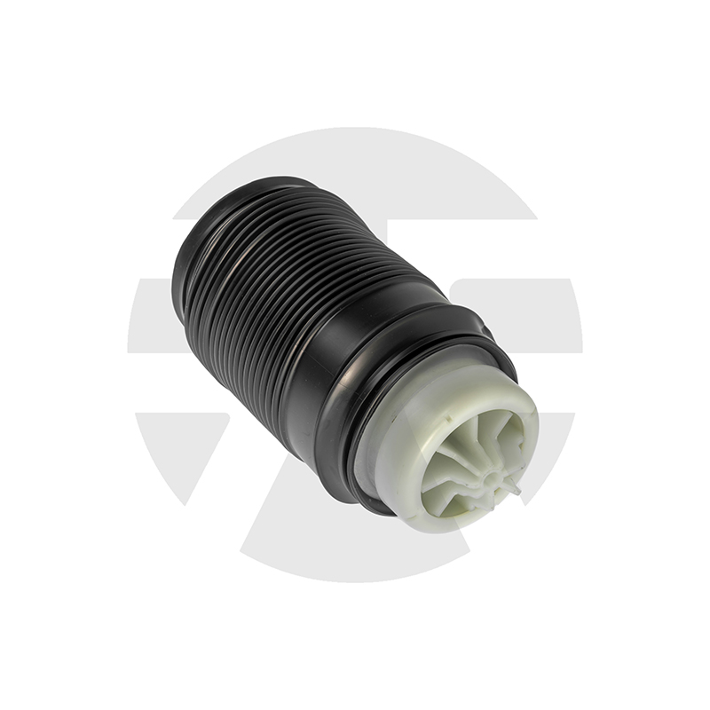 Rear Left Air Spring for Mercedes-benz E-Class W212 2009-2016 A2123204325