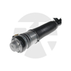 TYSL4038