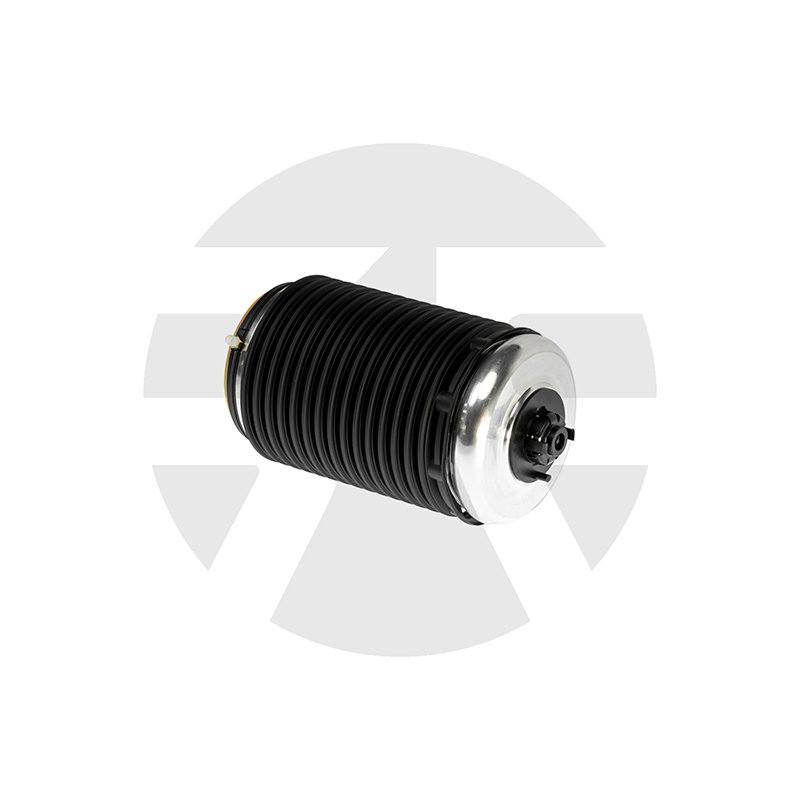 AUDI A6, RS6, S6 C7 Rear Left air spring