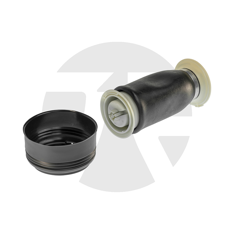 BMW X5 E70 Rear Air Spring