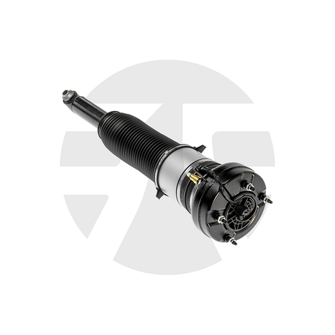 Rear Left/Right Air Suspension Strut for Audi A8 D4 (4H) with ADS 2009-2017 4H0616001M