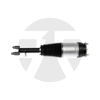 Front Left/Right Air Suspension Strut for Tsela Model S without ADS 2016-2021 106736225B