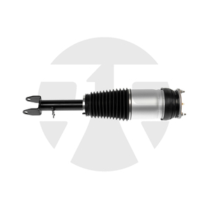 Front Left/Right Air Suspension Strut for Tsela Model S without ADS 2016-2021 106736225B