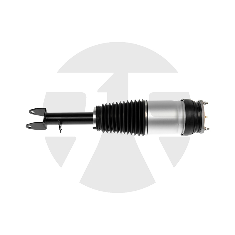 Front Left/Right Air Suspension Strut for Tsela Model S without ADS 2016-2021 106736225B