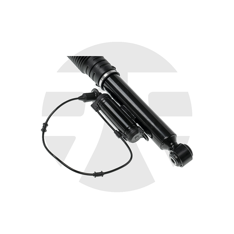 Rear Left/Right Air Suspension Strut for Mercedes-Benz S-Class W220 with ADS 1998-2006 A2203205013