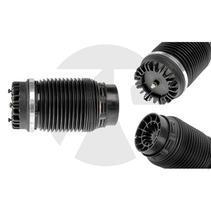 Dodge Ram 1500 Rear air spring