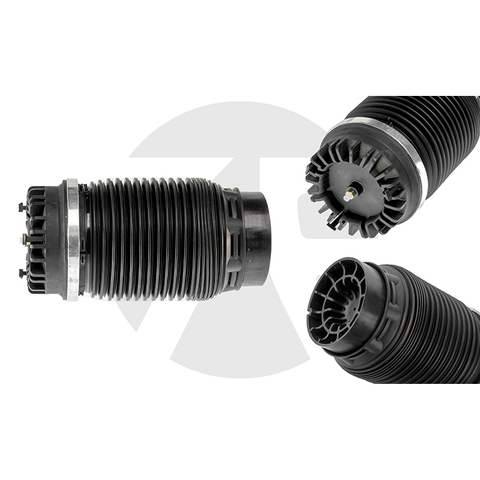 Dodge Ram 1500 Rear air spring