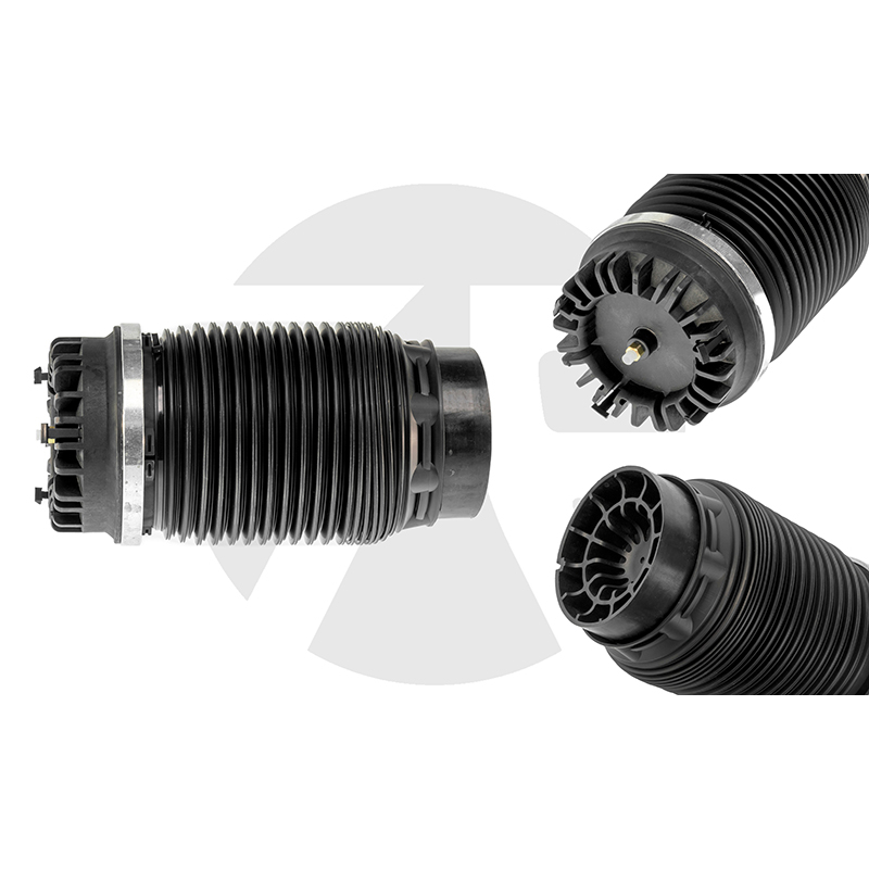 Dodge Ram 1500 Rear air spring