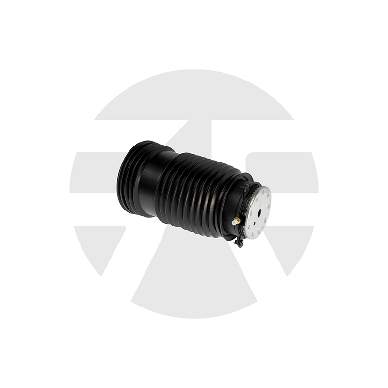 Rear Left Air Spring for Mercedes-benz C-CLASS W205 2014-2020 A2053200125