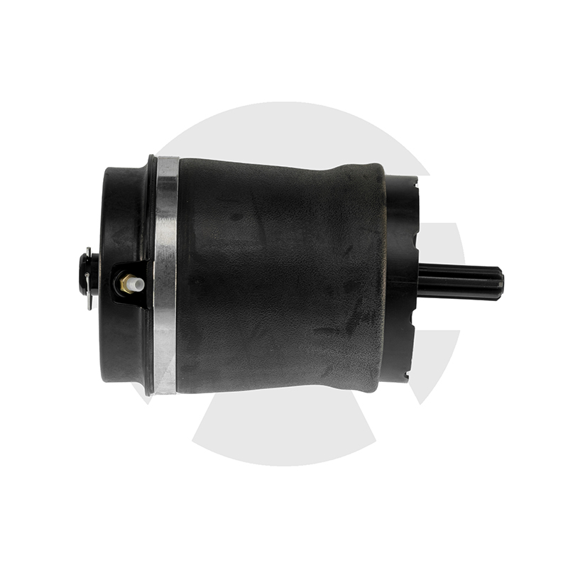 Land Rover Range Rover L322 Rear Air Spring