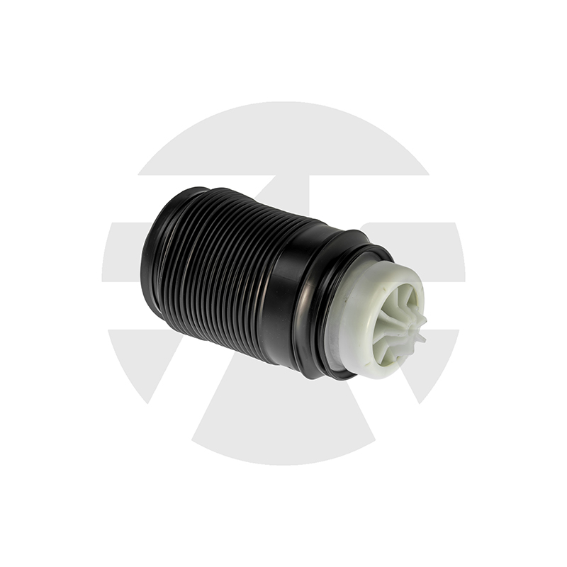 Rear Left Air Spring for Mercedes-benz E-Class W212 2009-2016 A2123204325