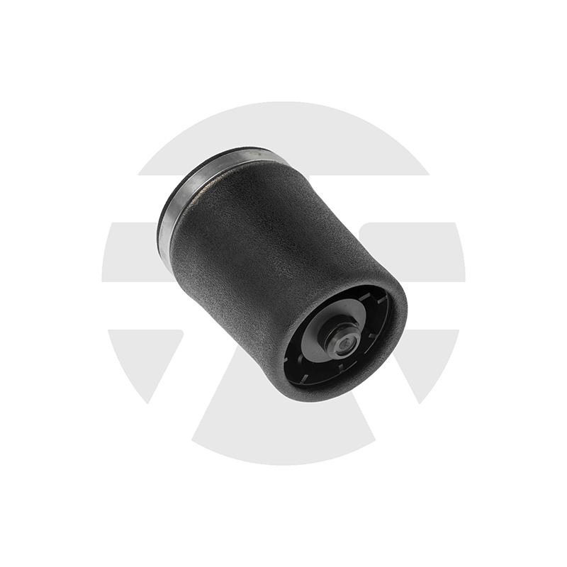 Rear Right Air Spring for BMW X5 E53 2000-2006 37121095580