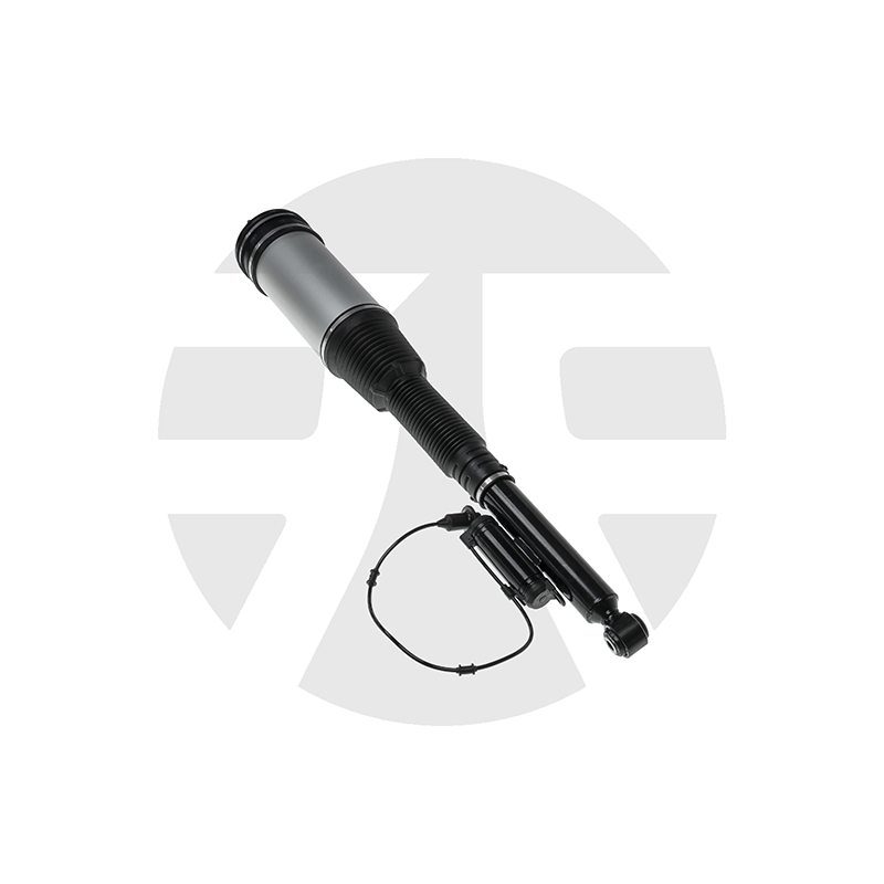 Rear Left/Right Air Suspension Strut for Mercedes-Benz S-Class W220 with ADS 1998-2006 A2203205013
