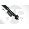 Rear Left/Right Shock Absorber for Mercedes-Benz ML-Class W166 with ADS 2012-2015 A1663200930