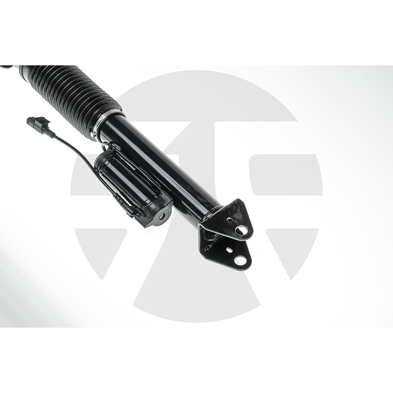 Rear Left/Right Shock Absorber for Mercedes-Benz ML-Class W166 with ADS 2012-2015 A1663200930