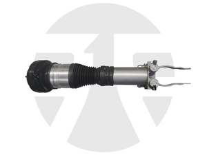 Front Left/Right Air Suspension Strut for Mercedes-Benz GLS-Class W167 2019-2021 with ABC A1673203005