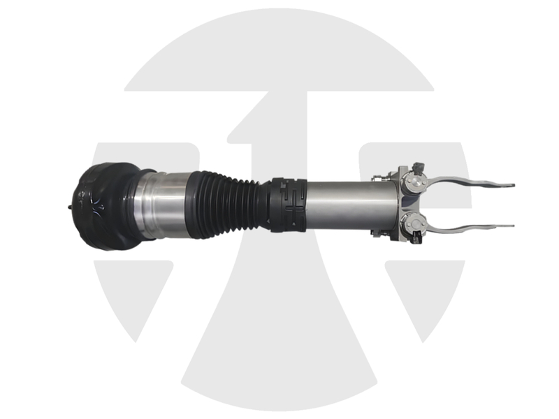 Front Left/Right Air Suspension Strut for Mercedes-Benz GLS-Class W167 2019-2021 with ABC A1673203005