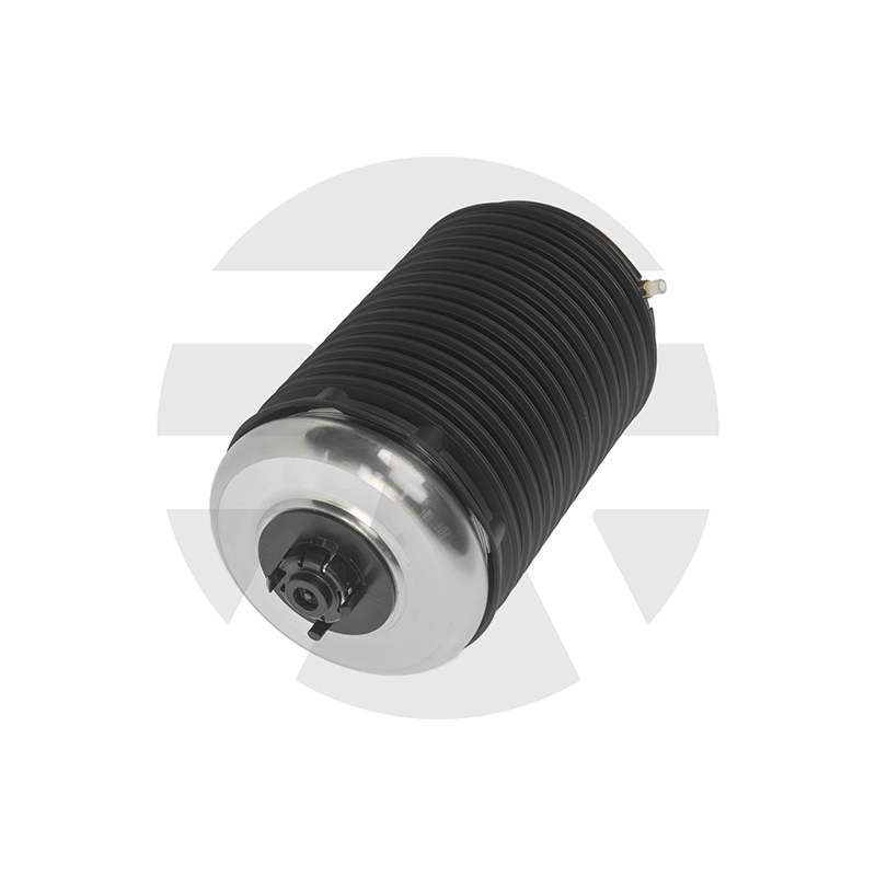 AUDI A6, RS6, S6 C7 Rear Right air spring