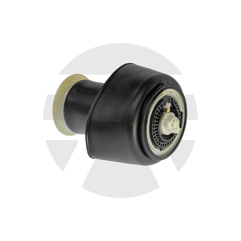 BMW 5 Series F07 Rear Air Spring