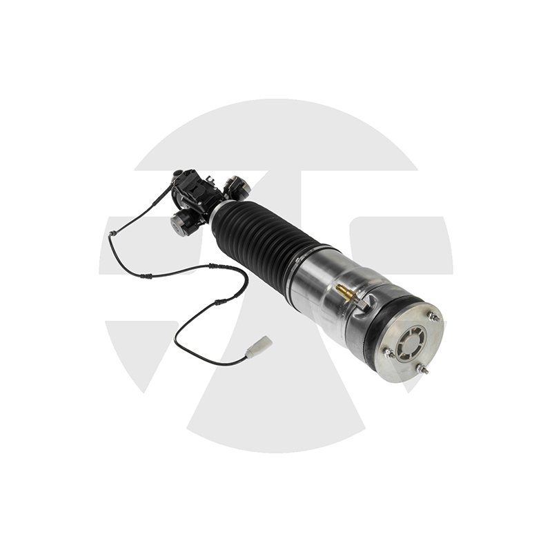 Rear Left Air Suspension Strut for BMW 7 Series F01/F02/F04 with ADS 2008-2015 37126796929