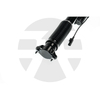 Rear Left/Right Shock Absorber for Mercedes-Benz ML-Class W166 with ADS 2012-2015 A1663200930