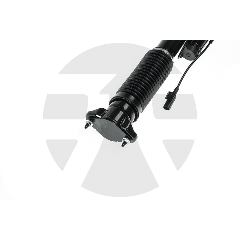 Rear Left/Right Shock Absorber for Mercedes-Benz ML-Class W166 with ADS 2012-2015 A1663200930