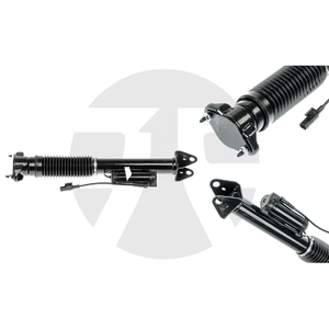 Rear Left/Right Shock Absorber for Mercedes-Benz ML-Class W166 with ADS 2012-2015 A1663200930