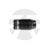 Dodge Ram 1500 Rear air spring