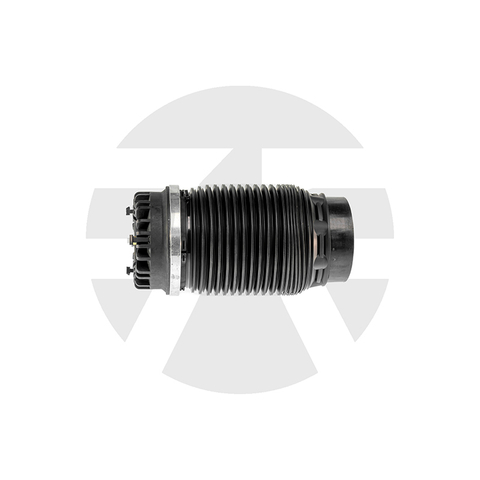 Dodge Ram 1500 Rear air spring