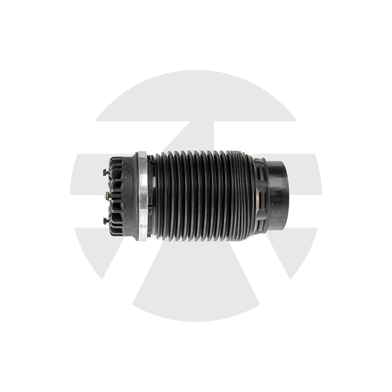 Dodge Ram 1500 Rear air spring